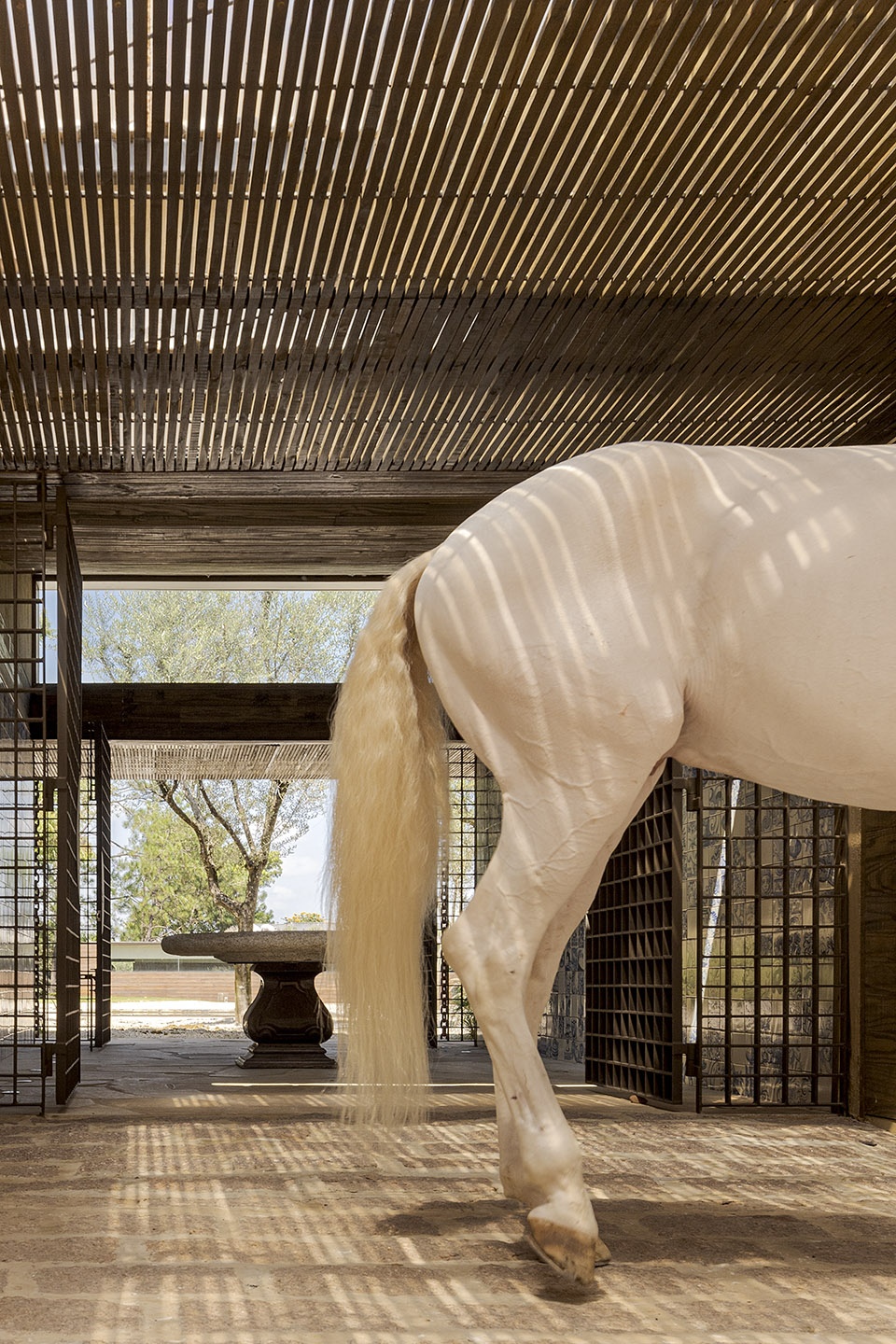 巴西 Coudelaria 凉亭与民宿 | 葡萄牙乡村风情的优雅展示-31