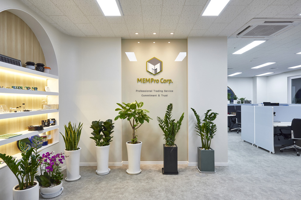 "白色与木质，31 平米知识产业中心的简洁内饰"-3