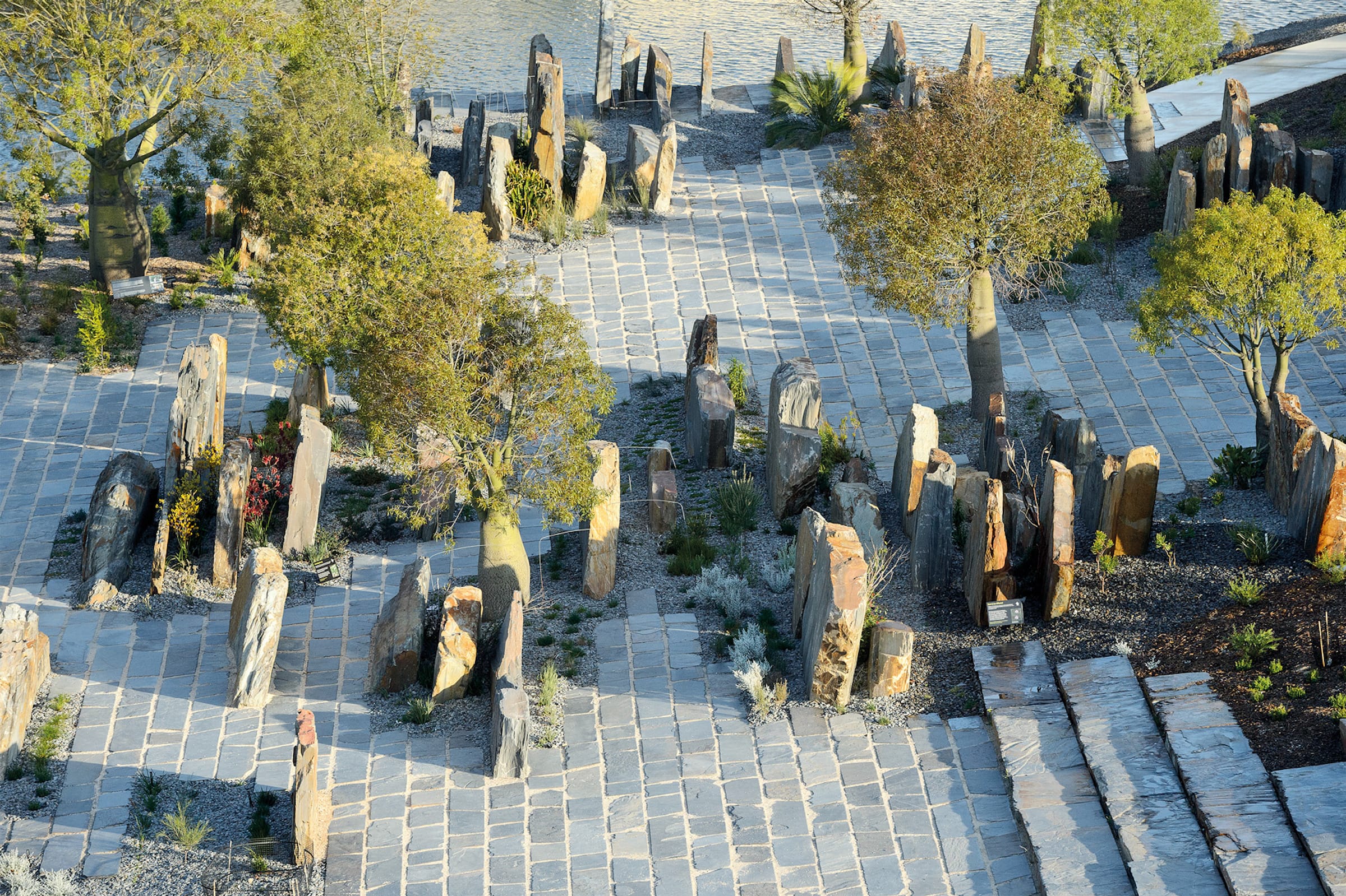 澳大利亚花园 (The Australian Garden)-18