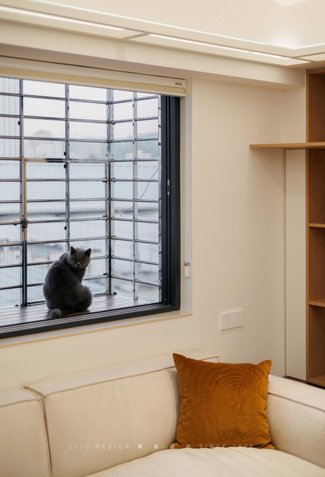 63㎡老房爆改流浪猫之家丨中国厦门丨理居设计-41