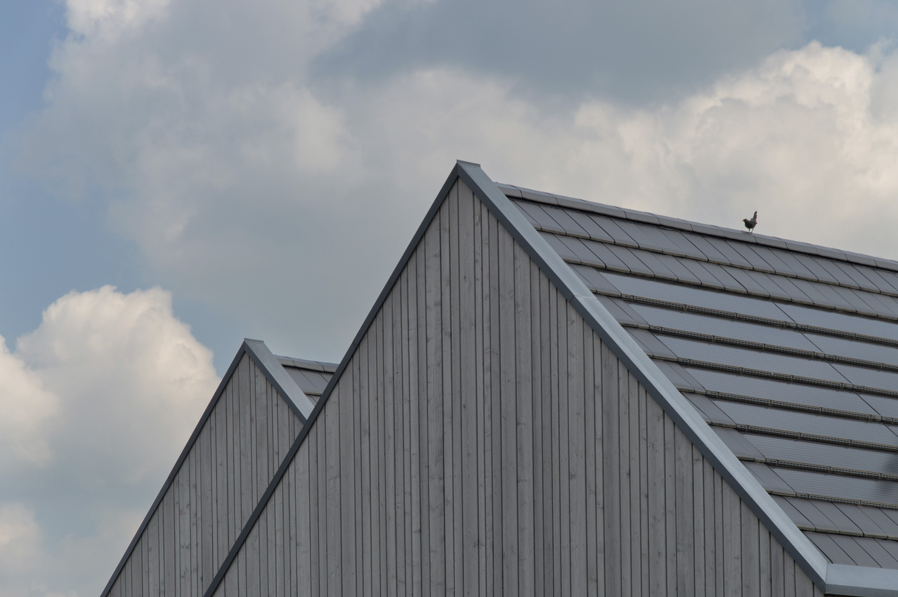 与自然和谐共生的家庭木屋丨GROSCHE BURGMER ISENSEE Architekten-23