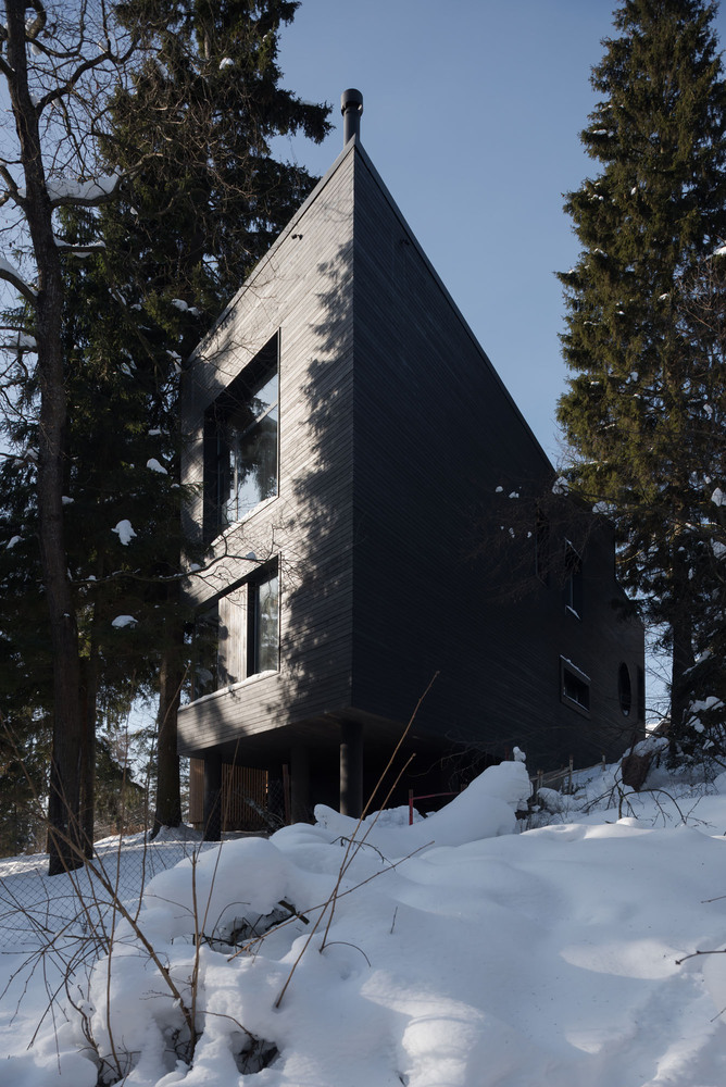 俄罗斯莫斯科 Oblast 老松树环绕的生态家园-87