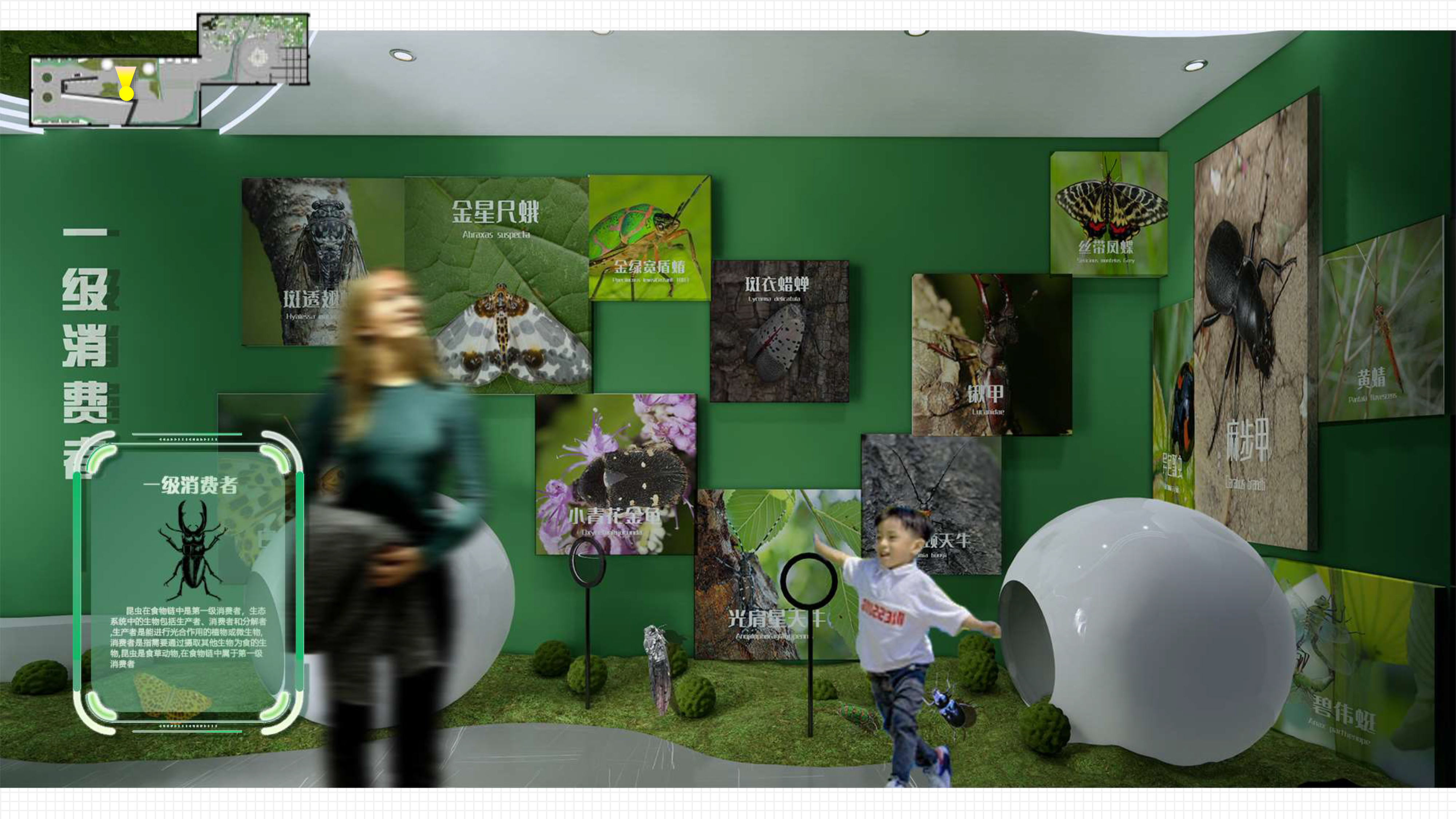 “链”接未来-生物多样性主题展览-17