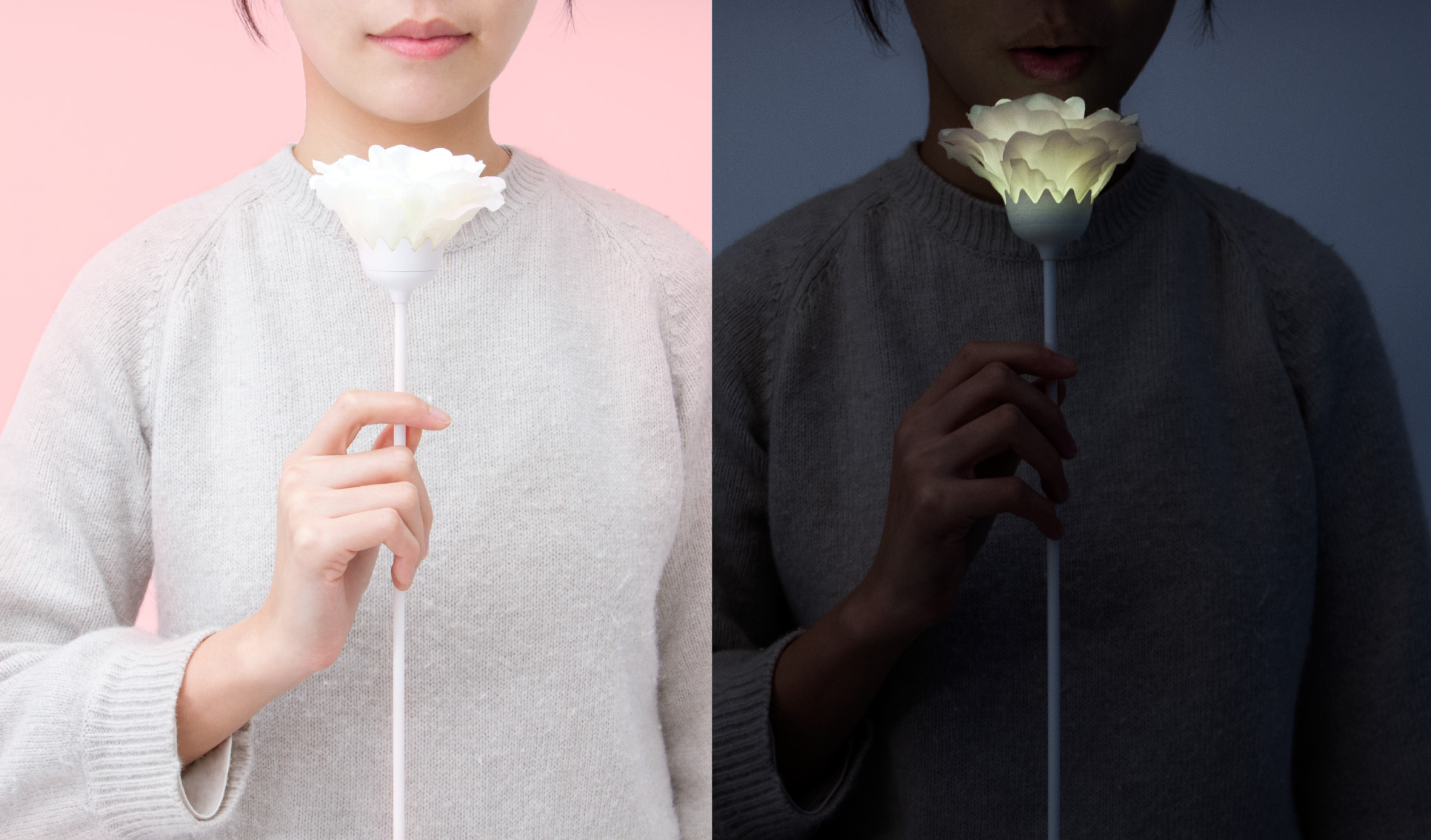 Light Rose Garden HK 玫瑰灯海园 – 香港站-31