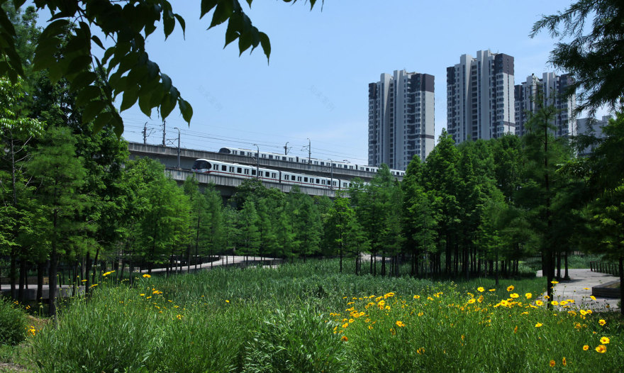 嘉定石冈门塘湿地公园-8