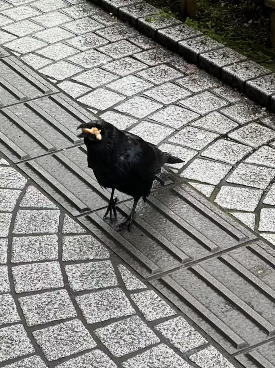 谷口吉郎·吉生纪念 金泽建筑馆丨日本丨谷口吉生-325