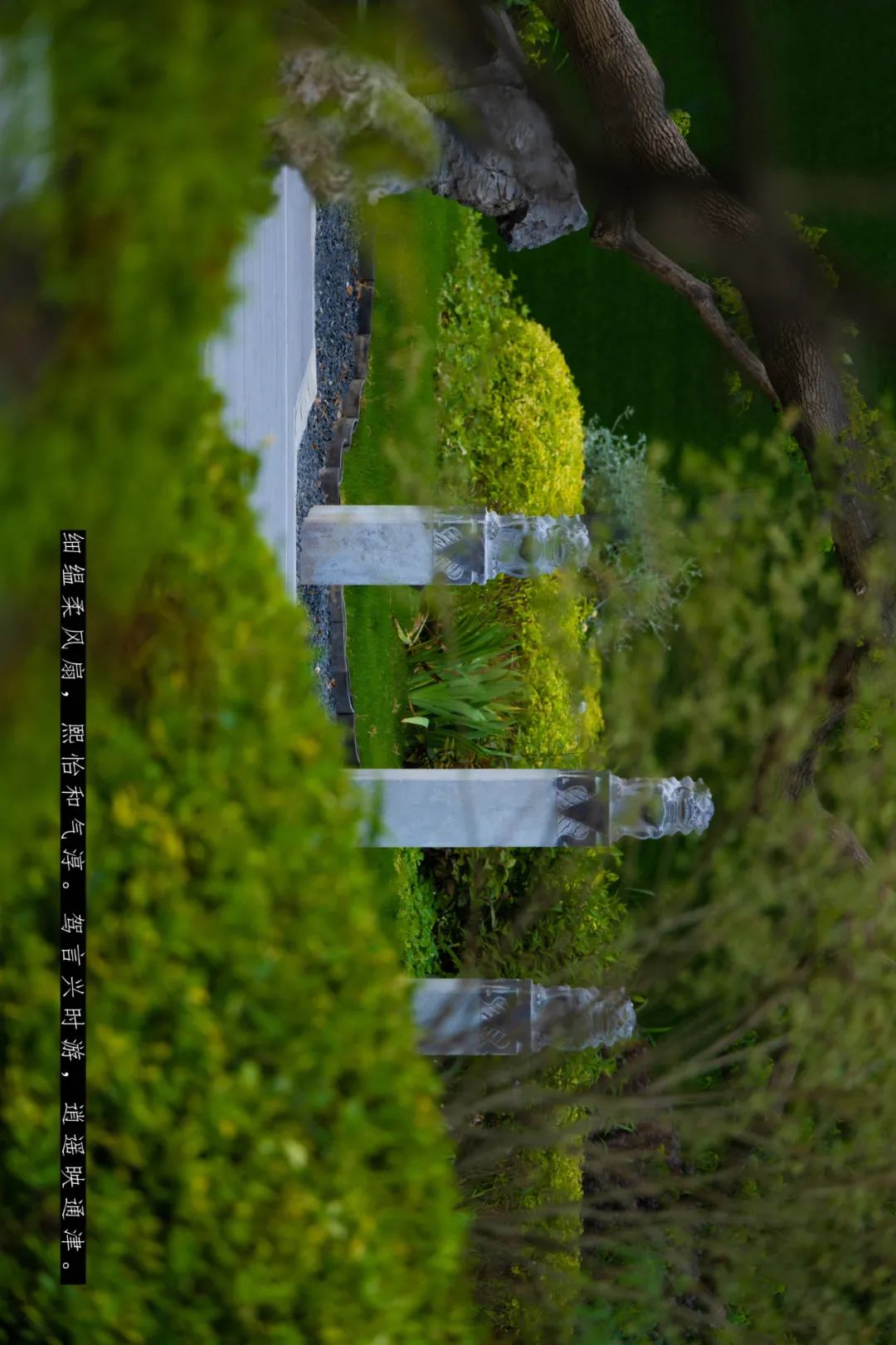 上海建发金玥湾丨中国上海丨LAURENT 罗朗景观,微木花境-19