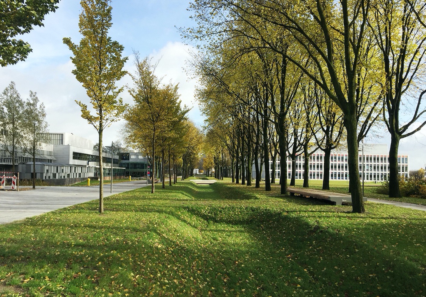 荷兰代尔夫特理工大学校园共享空间·克鲁伊夫公园丨Karres en Brands-10