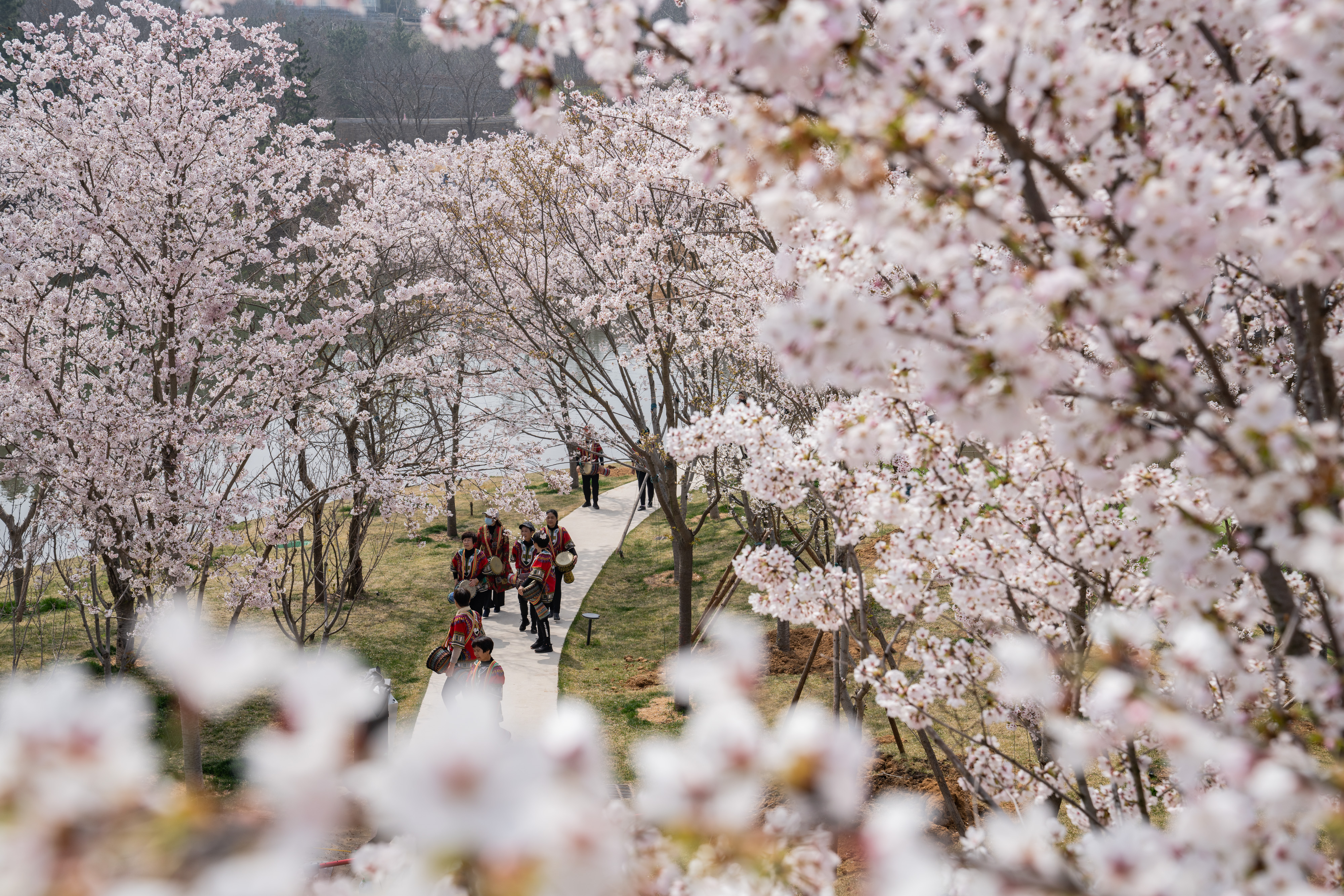 广州樱花小镇的空中纯美果园丨中国广州丨广州 S.P.I 设计有限公司-22