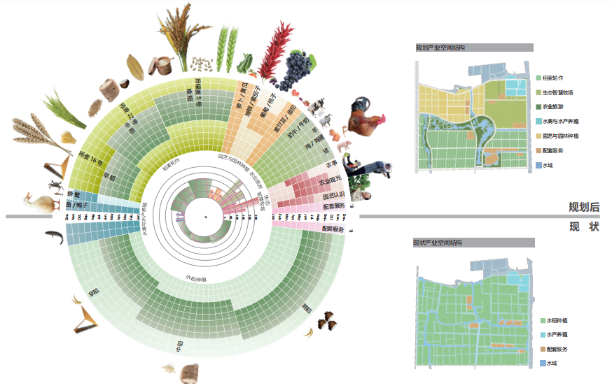 高邮现代农业科教示范园总体规划丨中国江苏丨上海亦境建筑景观有限公司-21