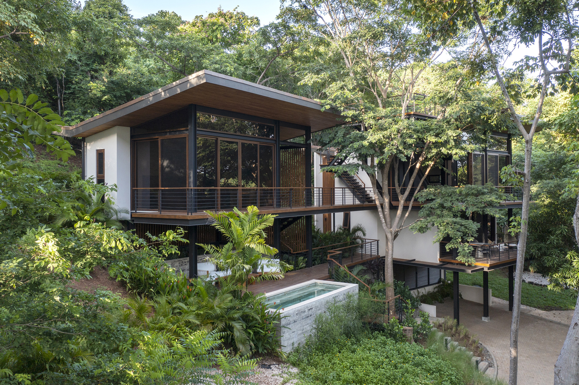 树屋丨哥斯达黎加丨Casalvolone Arquitectura-11