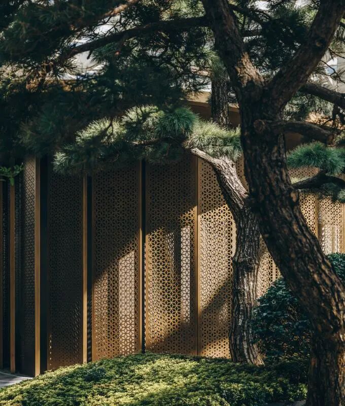 包赞巴克·「百鸟腾飞」|中国国家会议中心二期-111