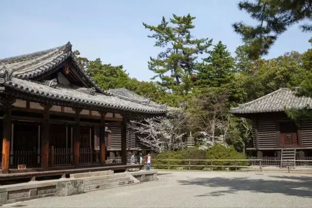 唐招提寺丨日本丨鉴真师徒-9