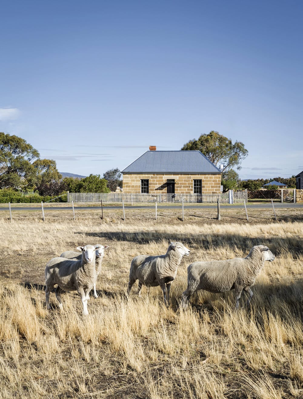 Tasmania 百年乔治亚风格小屋的现代复兴-24