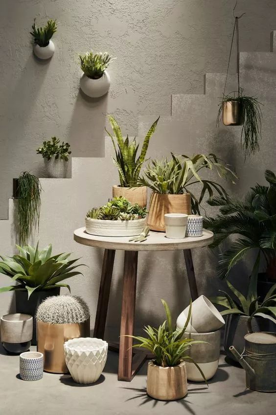 30㎡小户型也能拥有花园,设计师的神奇打造!-14