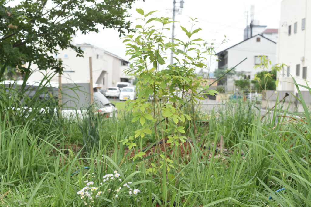 根の上の石場建て３土木工事１「伝統工法の土木」丨日本长野丨水野設計室-54