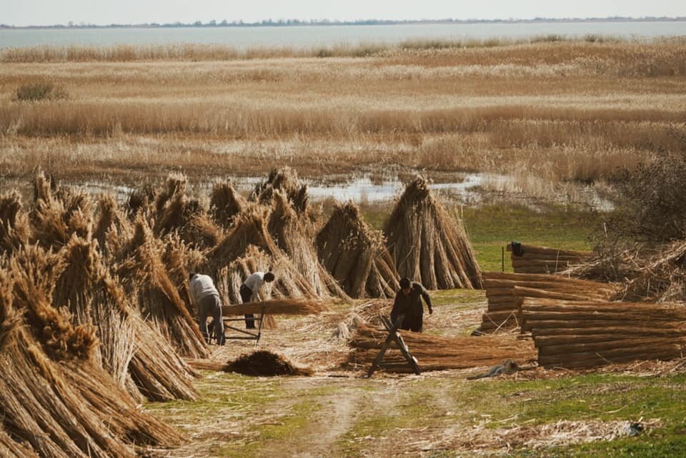 OGOI 建筑室内设计项目丨罗马尼亚丨arh. Alexandra Mihailciuc 等-51