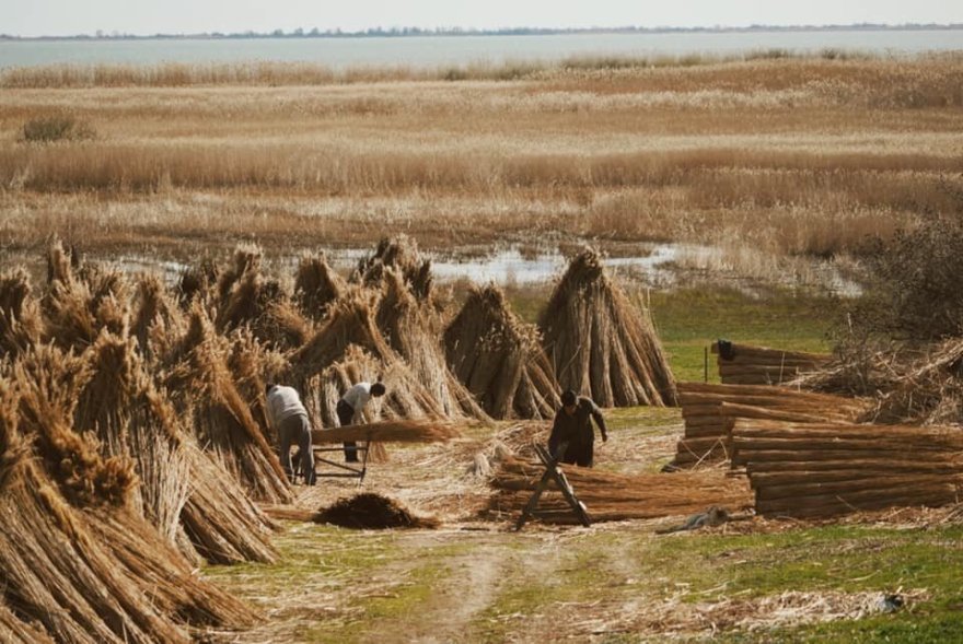 OGOI 建筑室内设计项目丨罗马尼亚丨arh. Alexandra Mihailciuc 等-51