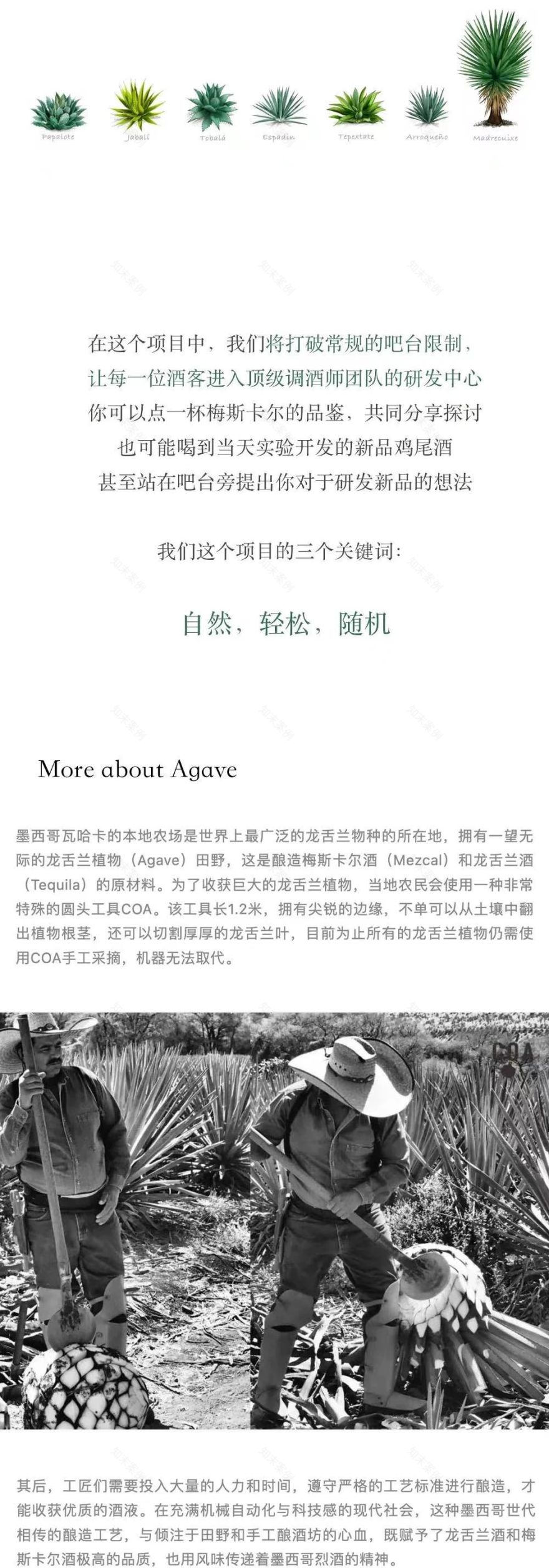 四和WhiskyCocktailBar丨中国上海丨HOOOLDESIGN-66