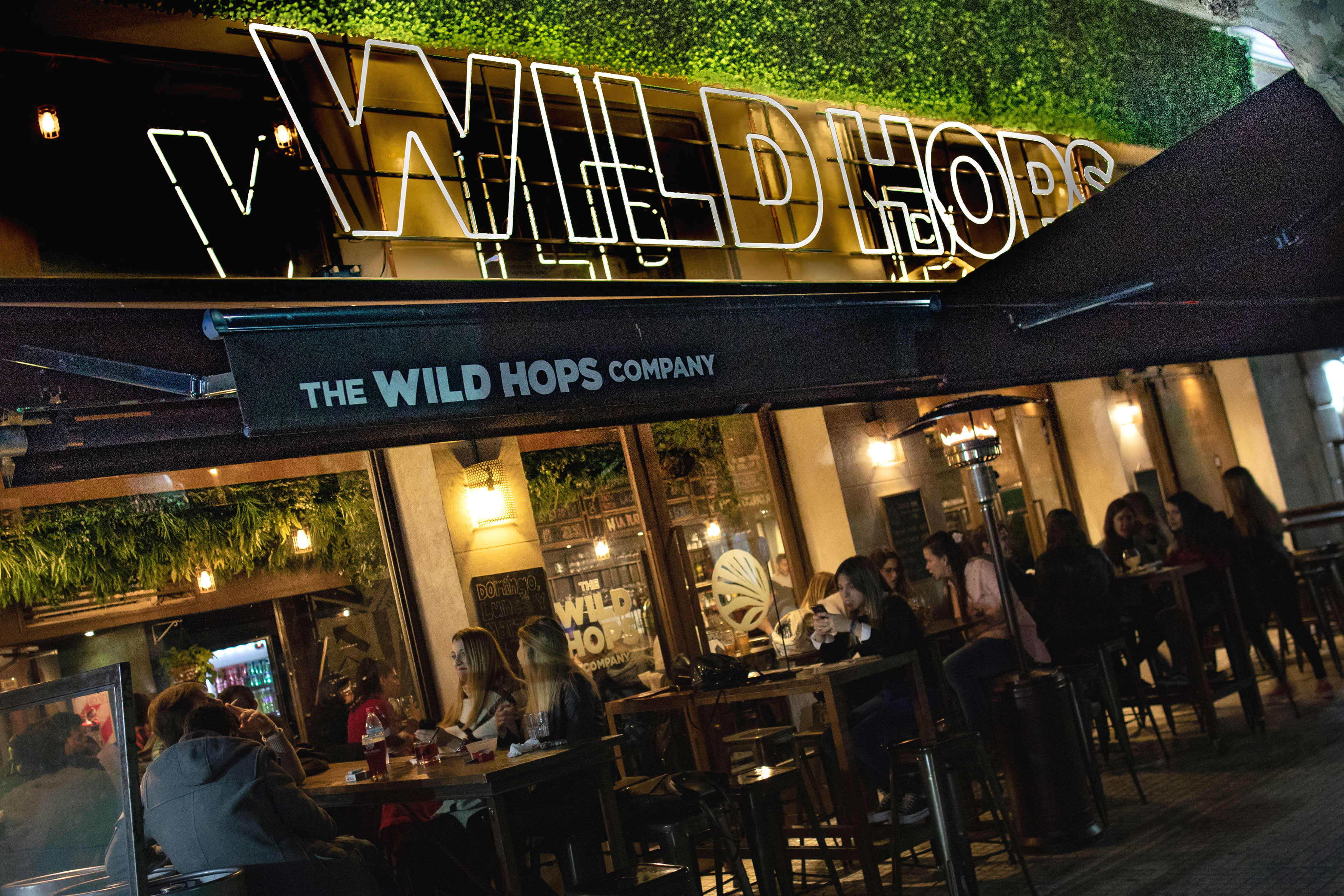 Wild Hops 啤酒品牌室内设计-1