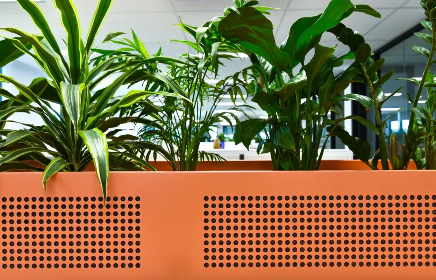 Finlaysons 办公空间设计丨澳大利亚阿德莱德丨Hames Sharley-38