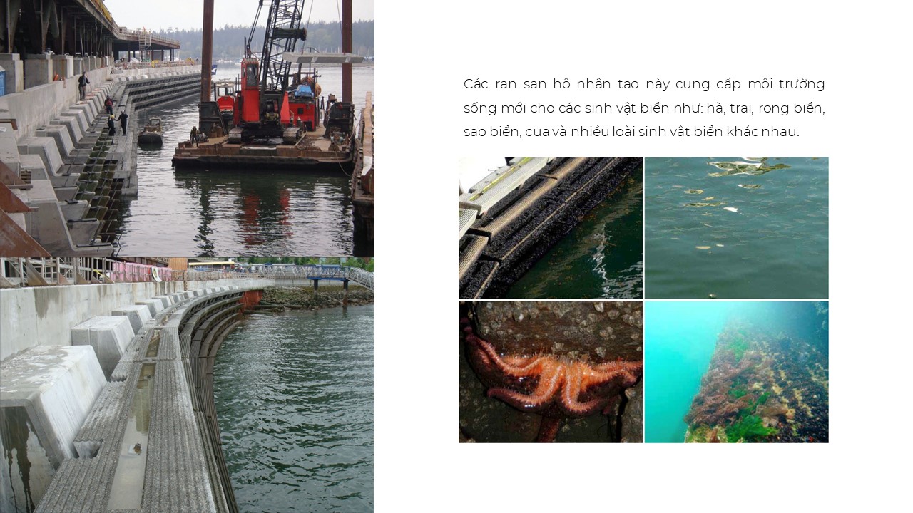 TRUNG TÂM HỘI NGHỊ PHÍA TÂY VANCOUVER-13