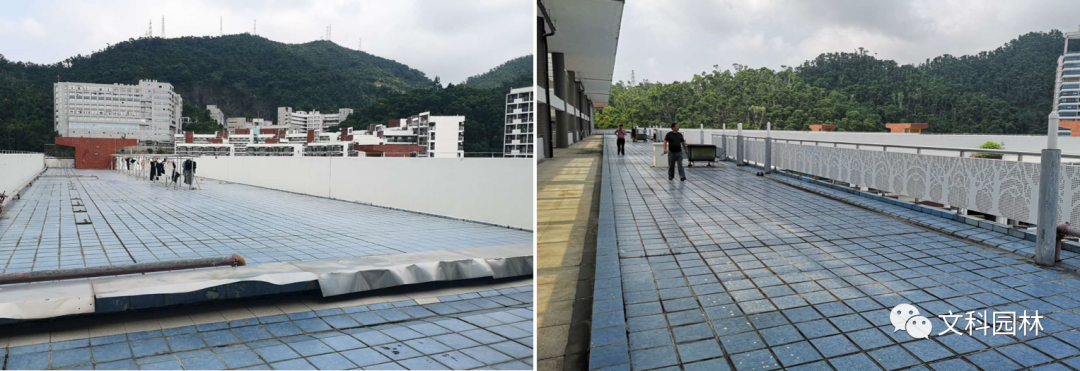 深圳福田花漾街区及街心花园 | 创新景观设计,重构城市空间-17