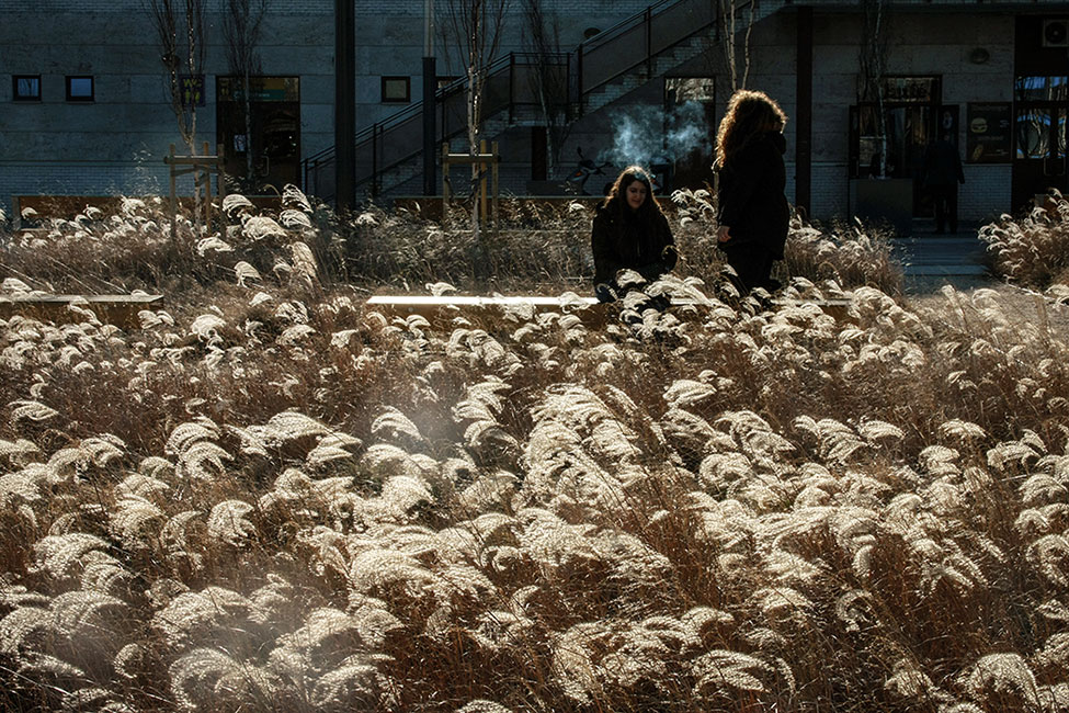 布达佩斯地铁 4 号线终点站临时公共空间设计-22