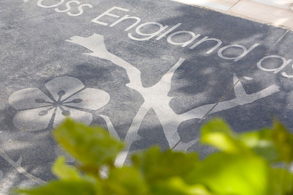 伦敦诺曼德公园丨英国伦敦-4