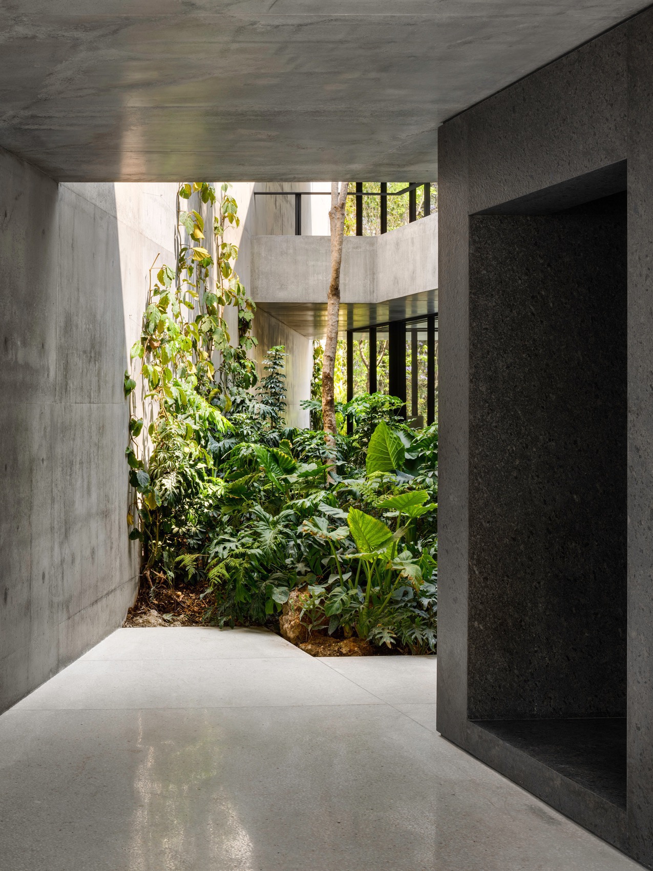 瑞士驻墨西哥大使住宅丨墨西哥墨西哥城-12