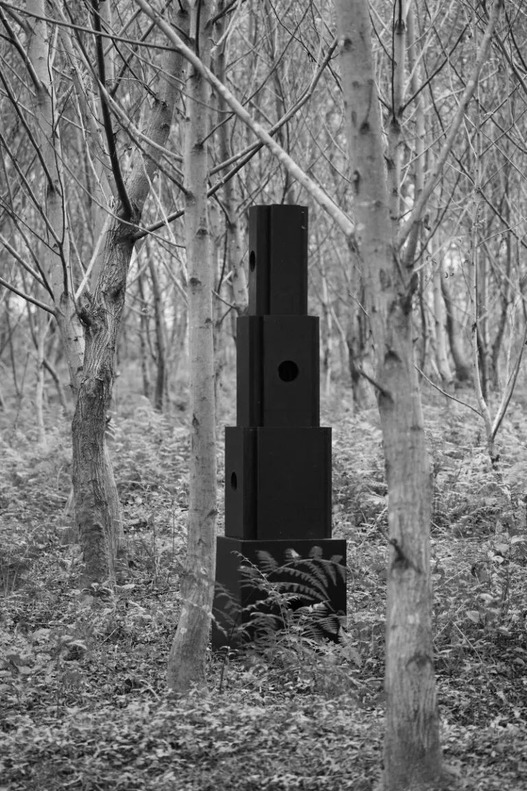 暑假背提-湖州&宣城搭建回顾|从露营地木构到茶山森林装置，探索自然与建造的共生-132