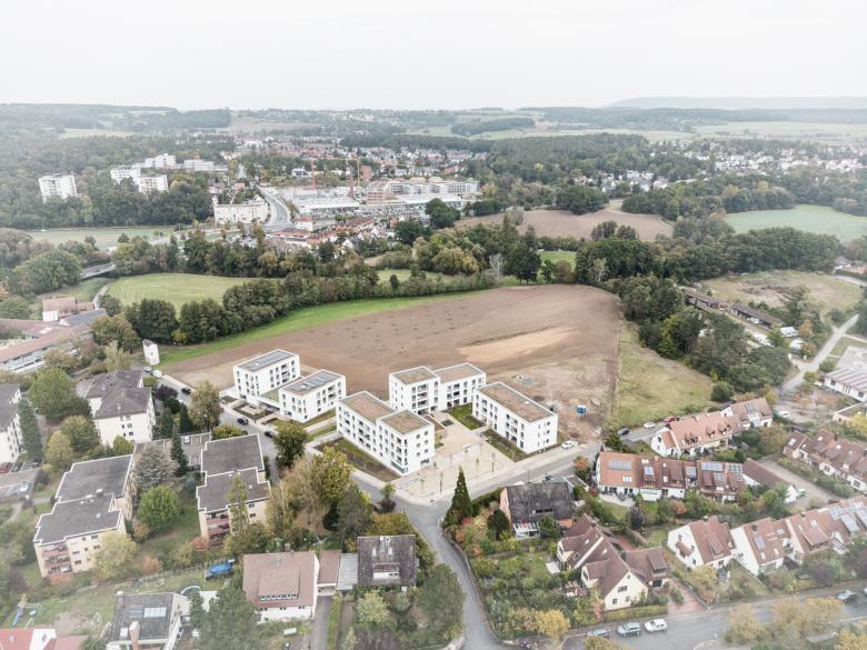 在草地边缘 布肯霍夫丨德国-24