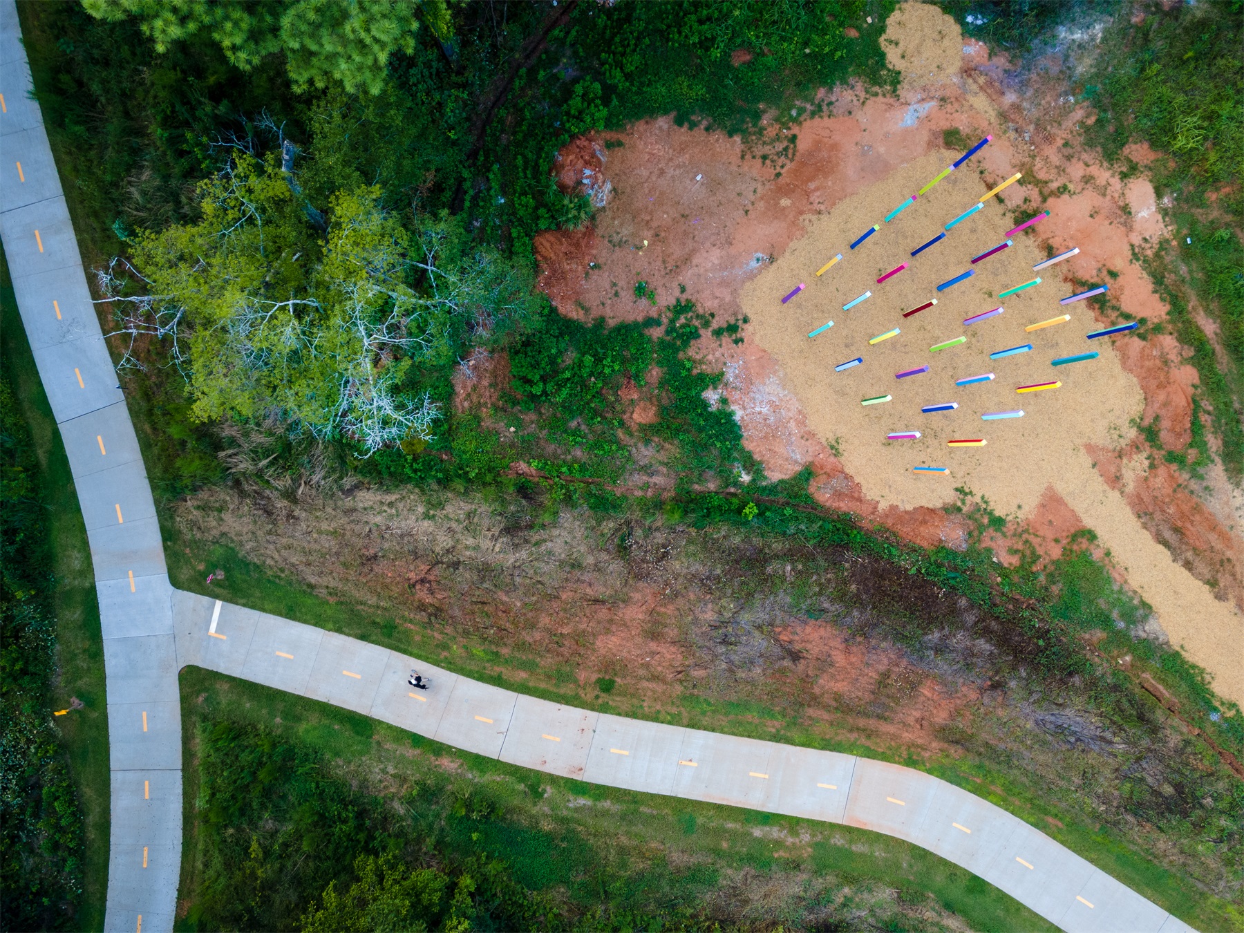 彩虹森林丨美国丨Office Kovacs-3