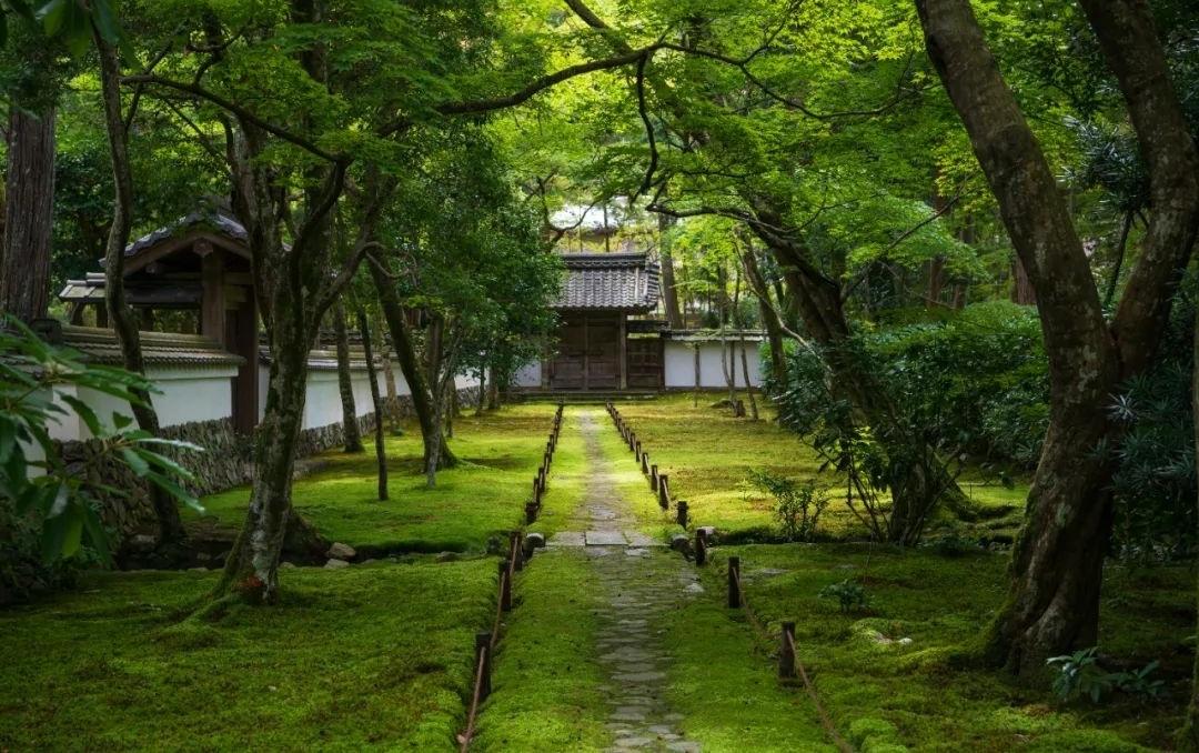 梦窗疏石·禅庭闲寂丨日本-65