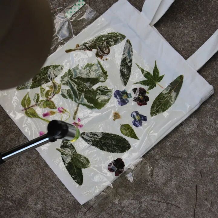 共写番禺自然故事|番禺绿地开放日温馨回顾-53