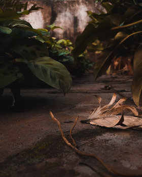 photos captured in a nursery