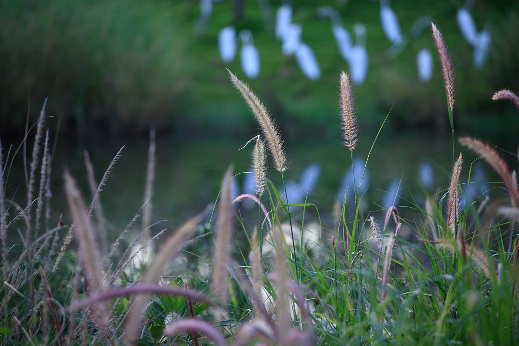 成都新希望种子乐园丨蓝海景观-152