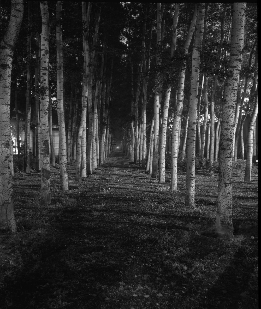 银林艺术品丨英国伦敦-6