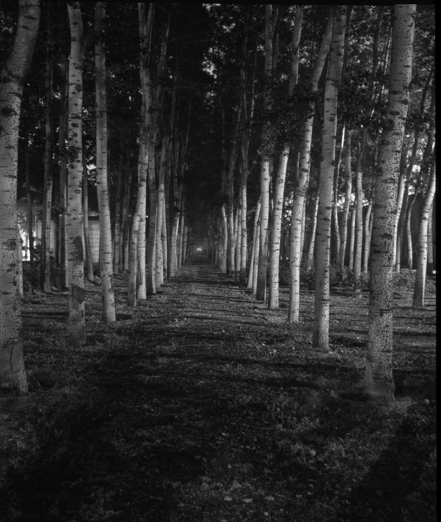 银林艺术品丨英国伦敦-6