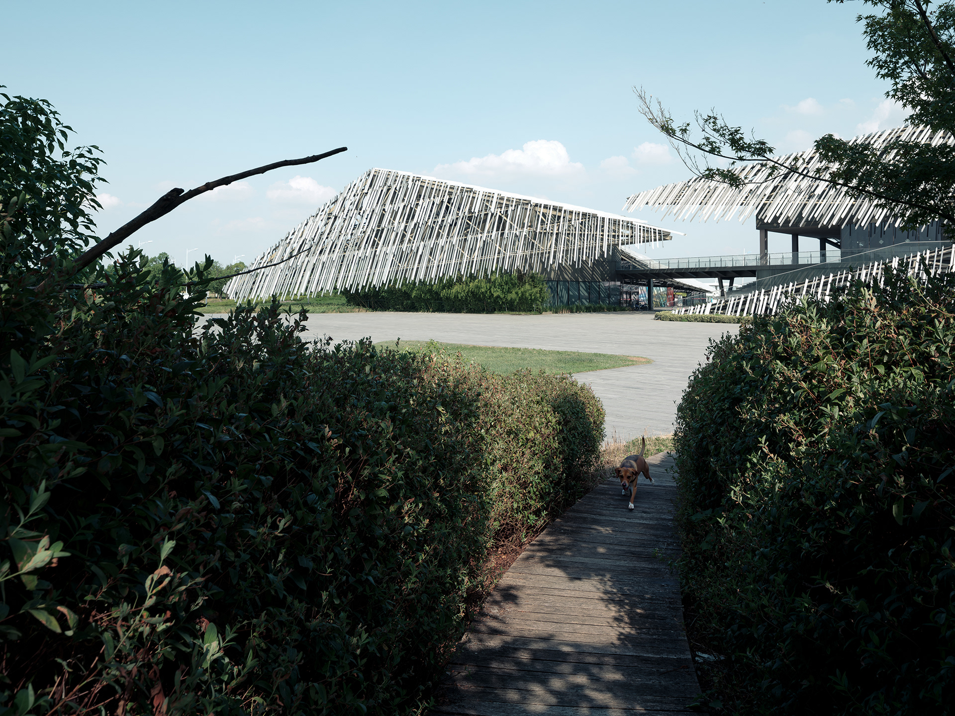 Yangcheng Lake Tourist Transportation Center｜Kengo Kuma-1