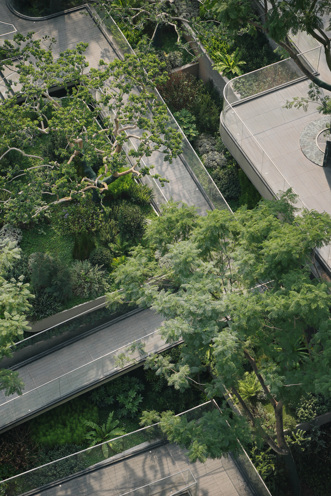 JTL加特林|漂浮岛屿·天空花园-香港置地·启元-179
