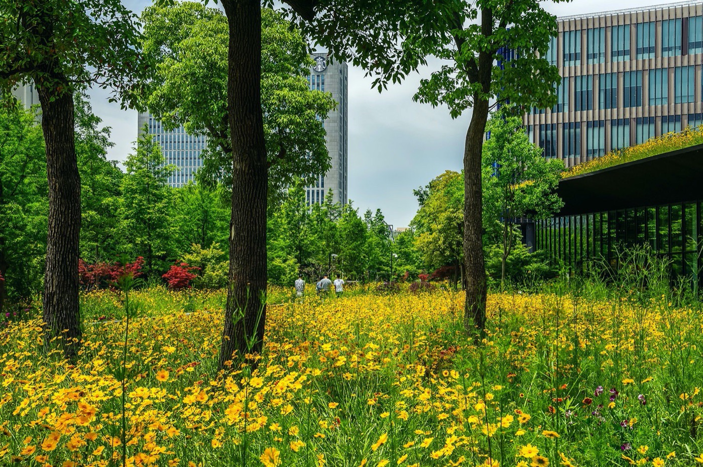 上海创新聚集地 | 天地区域 1 号-12
