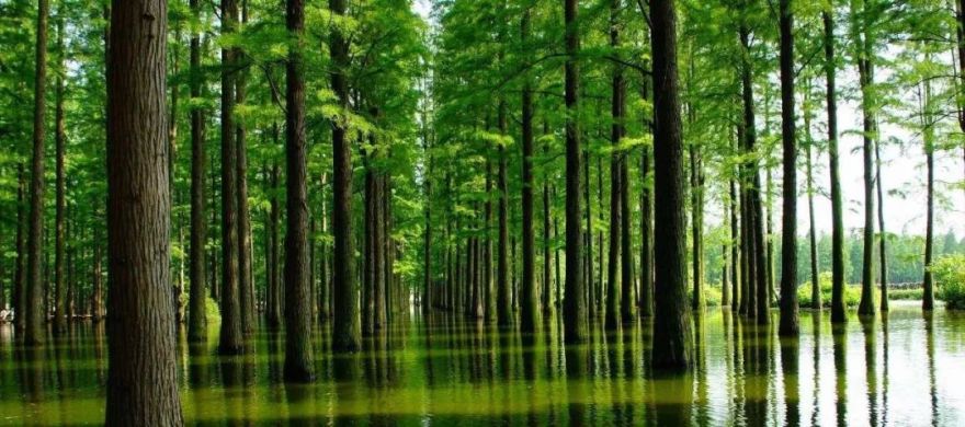 武汉万科新都会 | 现代轻奢的奇幻都会之旅-64