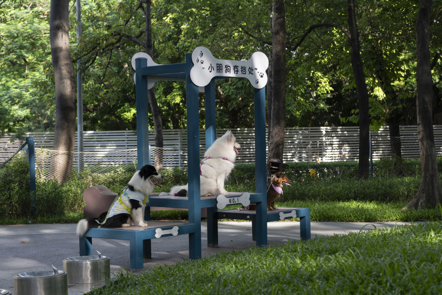 深圳市罗湖泥岗东路宠物友好口袋公园丨中国深圳丨深圳市未名设计顾问有限公司罗湖分公司(WMLA)-32