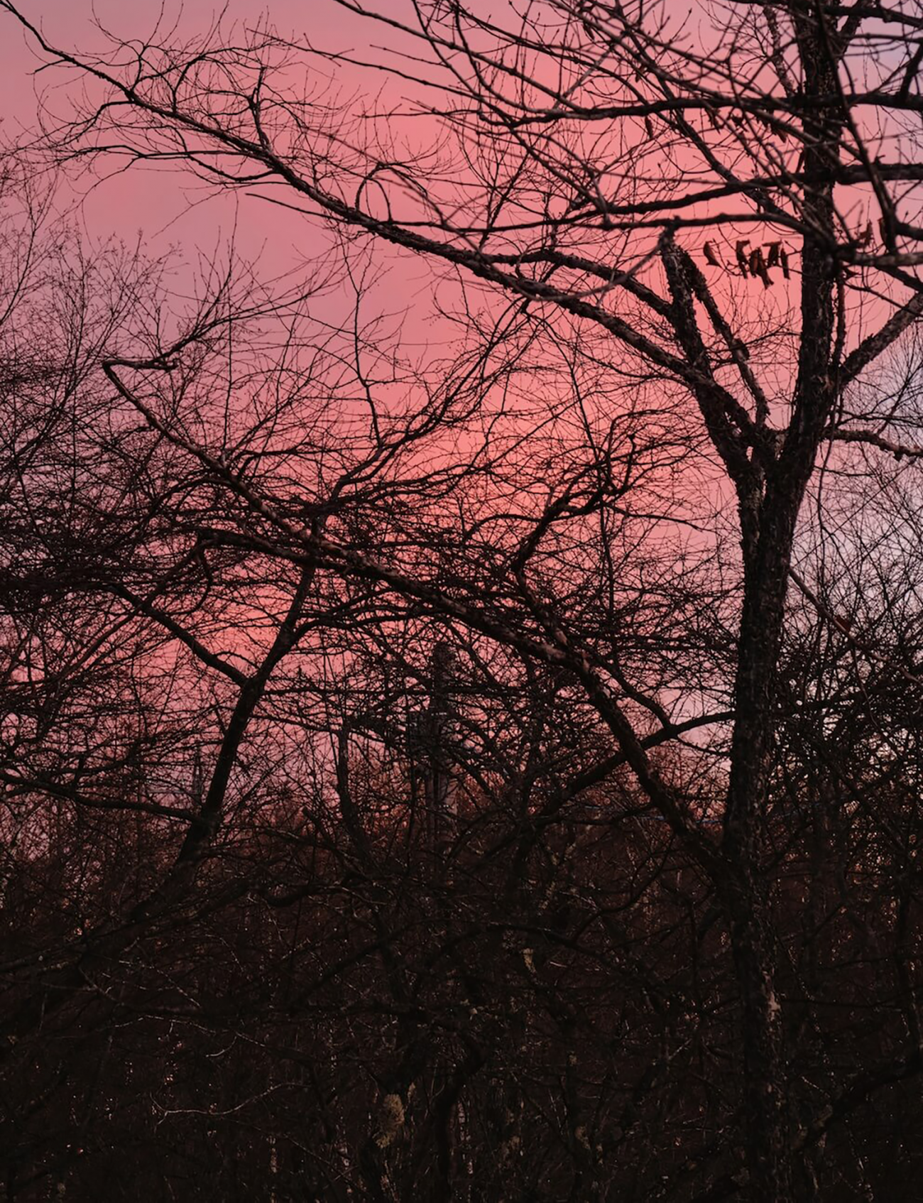 八岳之家丨日本福冈-44