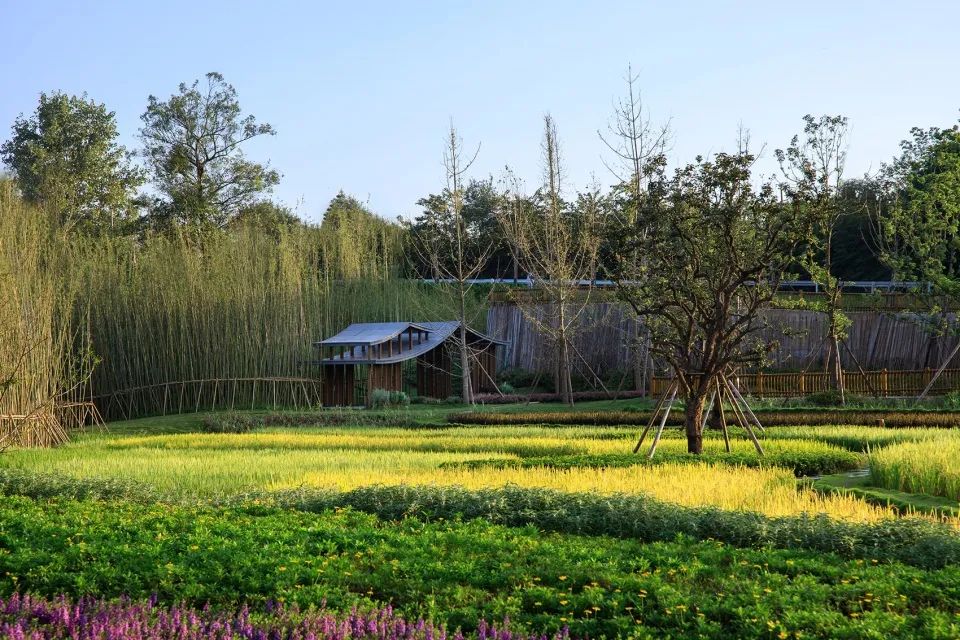 成都新希望种子乐园丨蓝海景观-58