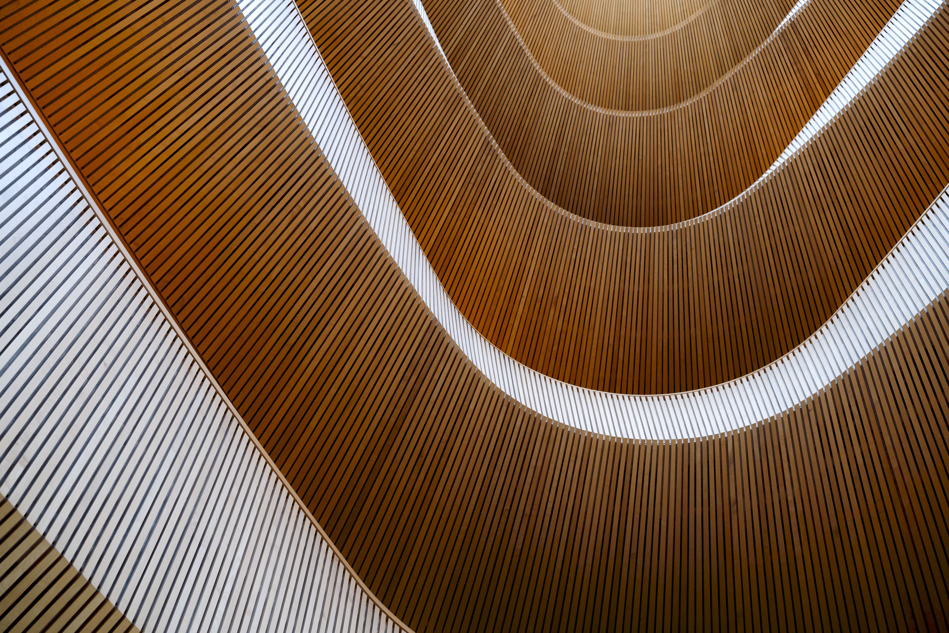 苏黎世大学法学院图书馆丨瑞士苏黎世丨Santiago Calatrava-9