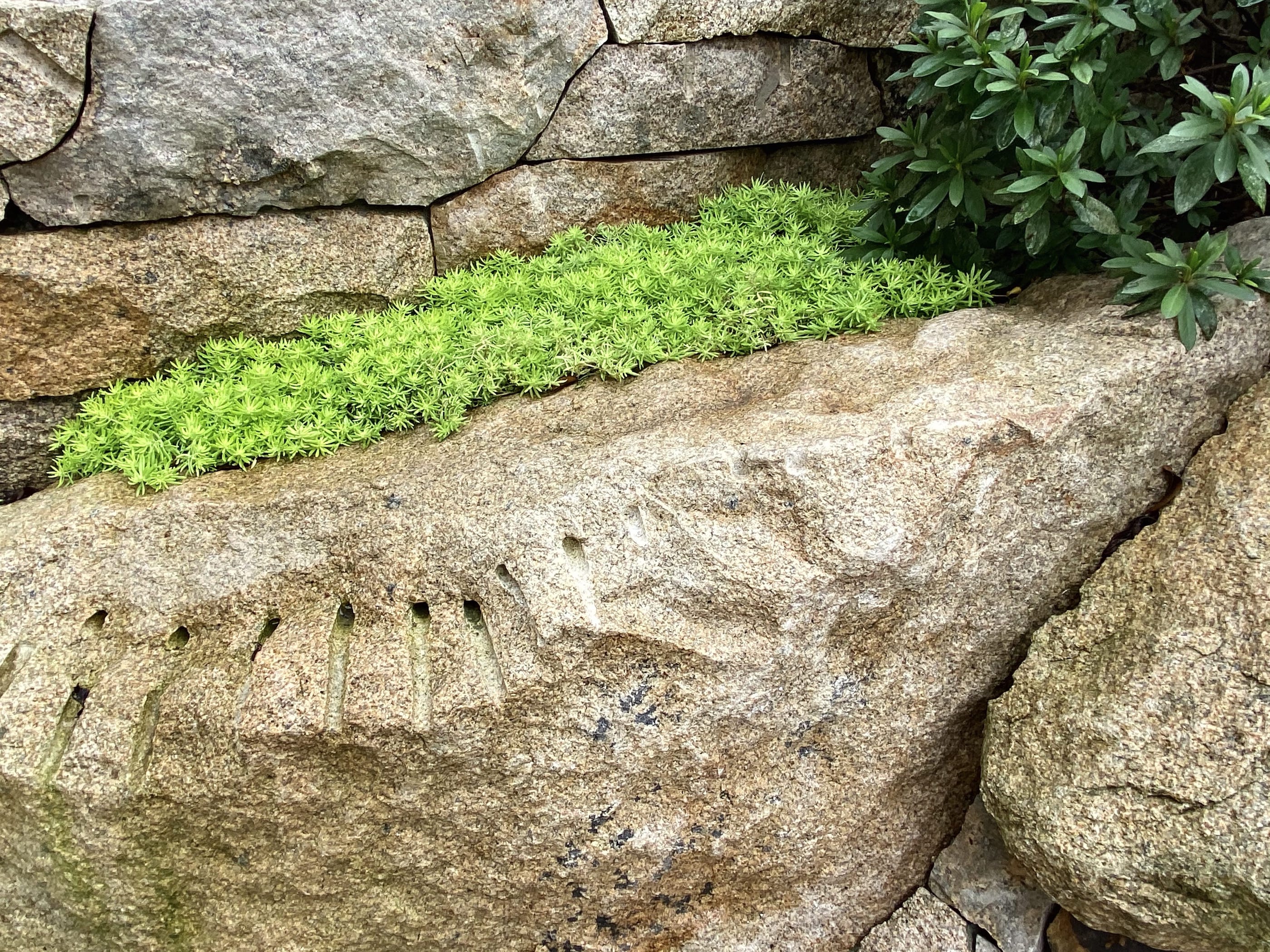 上海私邸·怡庭丨中国上海-54