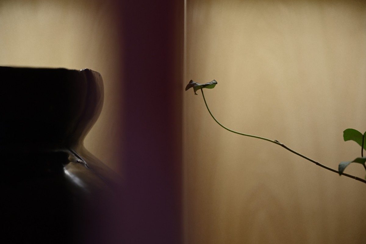 军力烧烤(郑东商业中心店)丨温圣长-19