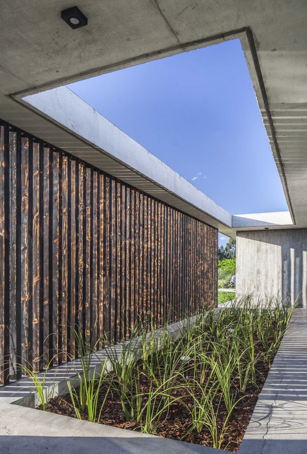 阿根廷查卡 93 号住宅 | 混凝土与木炭色遮阳篷的简约魅力-18